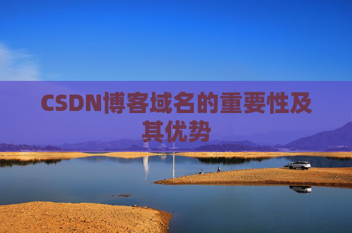 CSDN博客域名的重要性及其优势